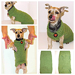 Knitting - Dog Sweater for Guinness