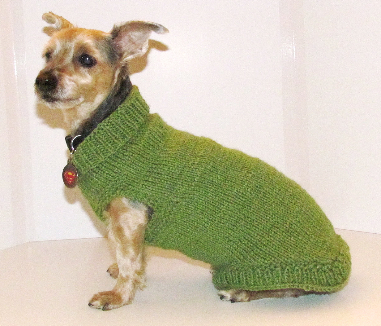 Knitting: A Doggie Sweater for Guinness